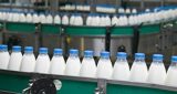 Alimentos y bebidas
